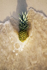pineapple-1149963_960_720